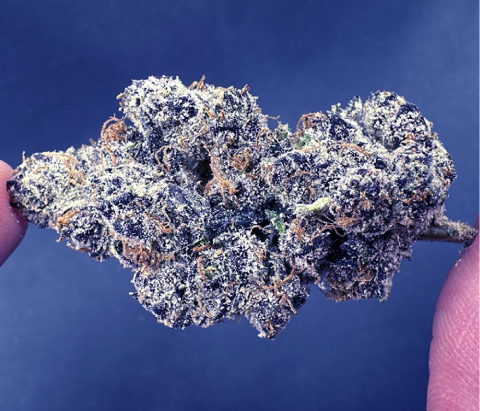 Strawberry Gelato (Gelato #33 & Strawberry Snow Cone) | High End Indica leaning Hybrid