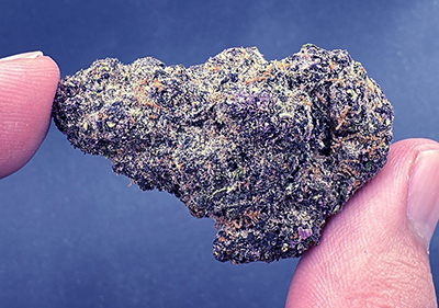 blockberry topshelf sativa