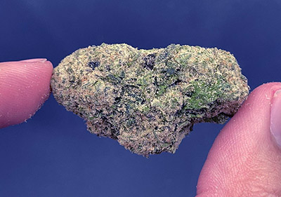 blue haze topshelf
