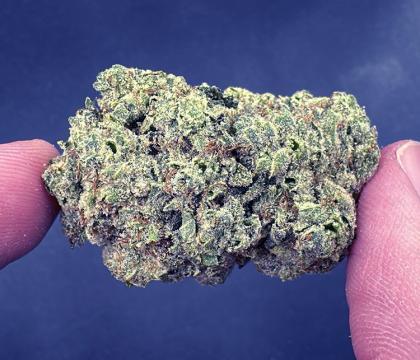 gorilla glue 4 hybrid exotic