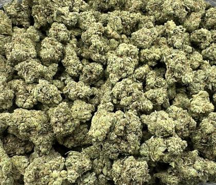 gorilla glue 4 hybrid exotic