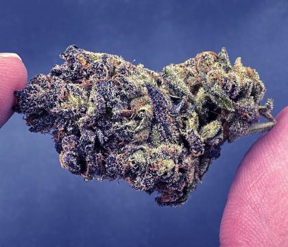 grapes and cream topshelf