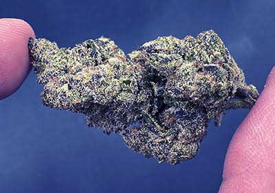 Hash Burger Outstanding Light Dep Indica leaning