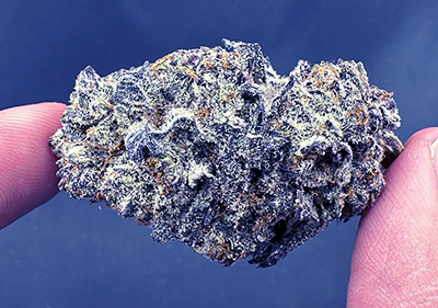 ice box topshelf