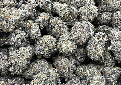 ice box topshelf