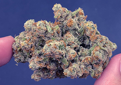 jack herer topshelf sativa great price