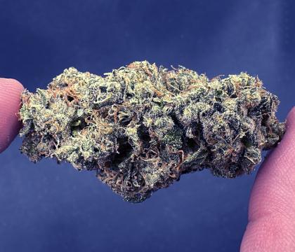 jet fuel topshelf
