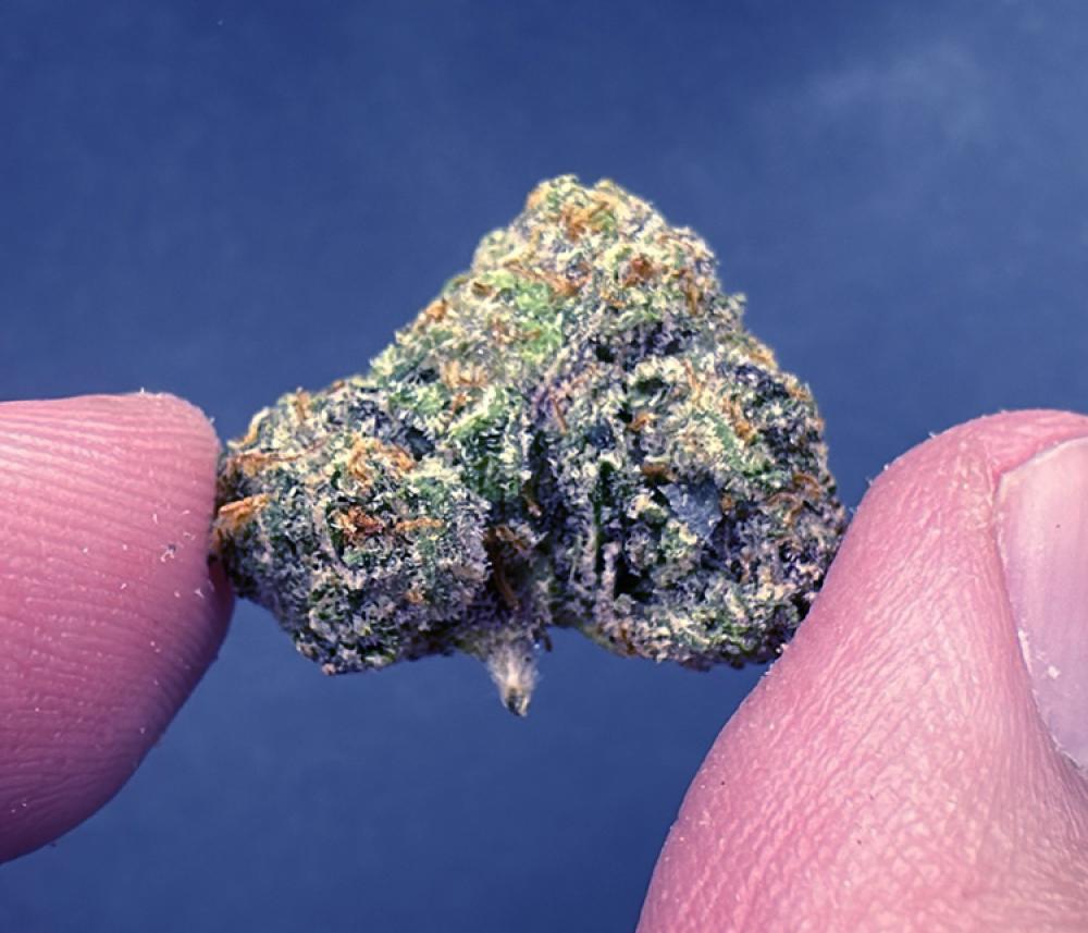 MOB smalls Indica Leaning Hybrid Exotic