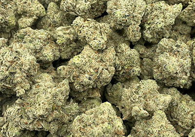 northern lights topshelf indica