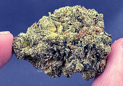 oaksterdam og topshelf