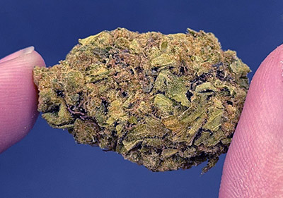 platinum og light dep indica