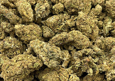 platinum og light dep indica