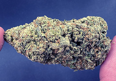 pop rocks wholesale