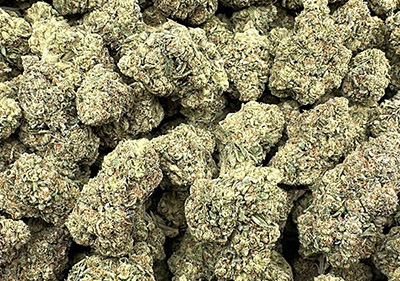 pop rocks wholesale