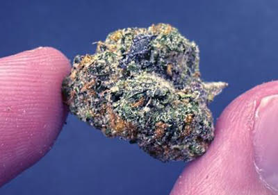 rs11 topshelf