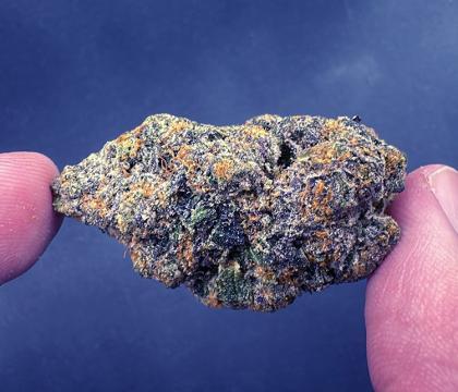 skywalker og indica exotic