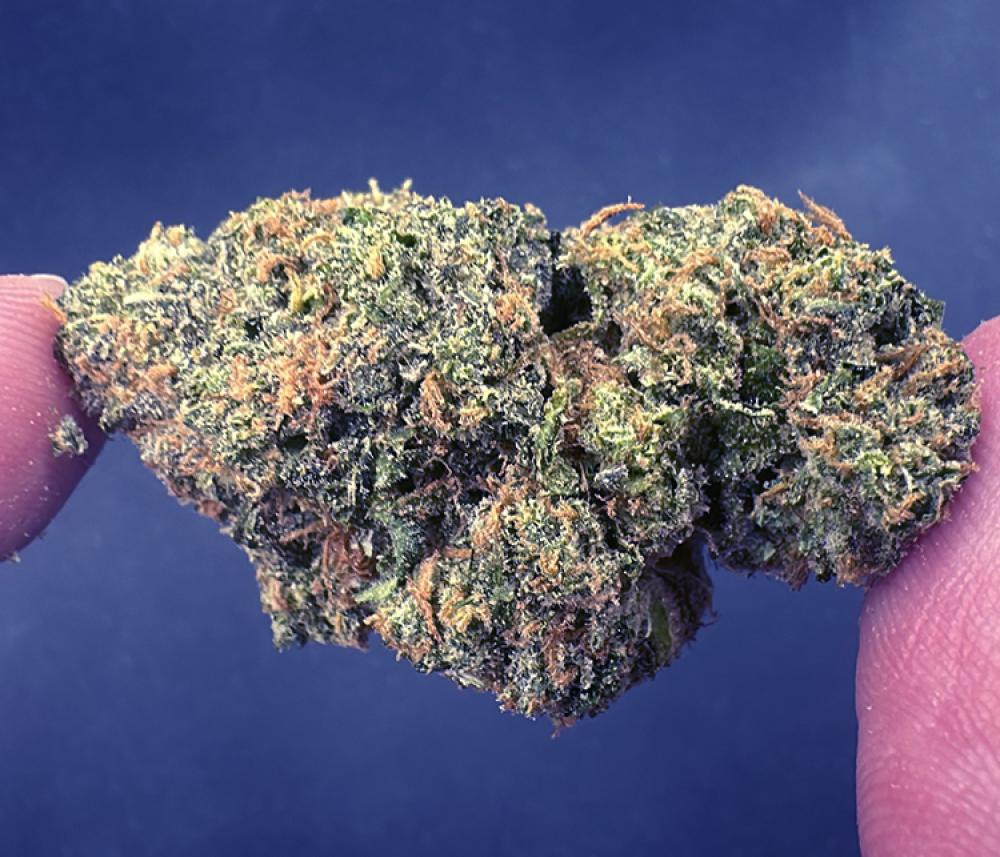 Sour Diesel | Indoor Excellent Quality