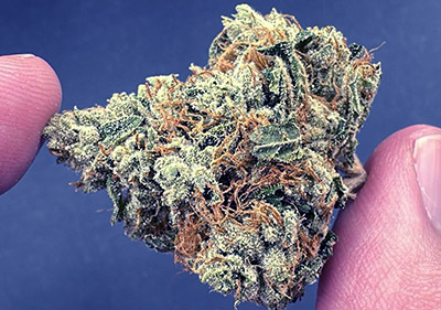 true og indoor wholesale