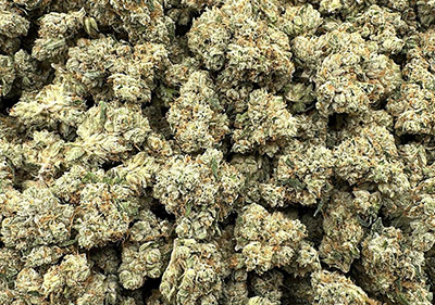 true og indoor wholesale
