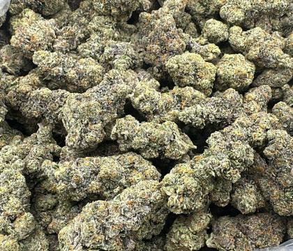 Biscotti (Gelato #25 x Girl Scout Cookies) exotic 