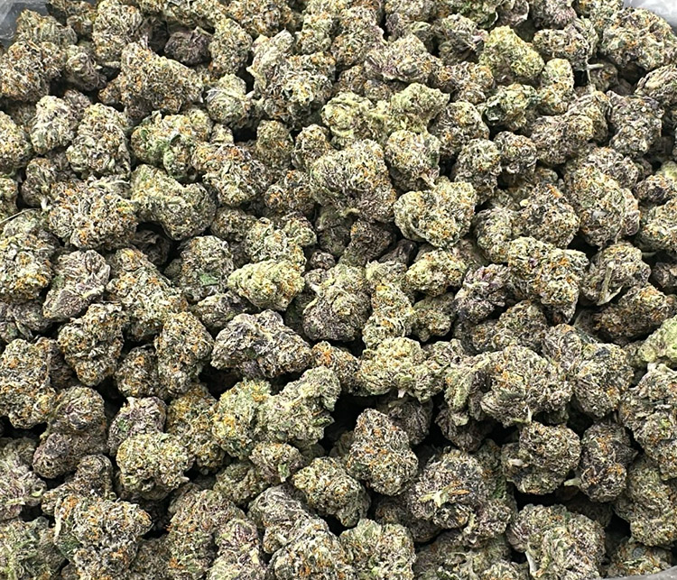 northern lights topshelf hybrid leaning indica