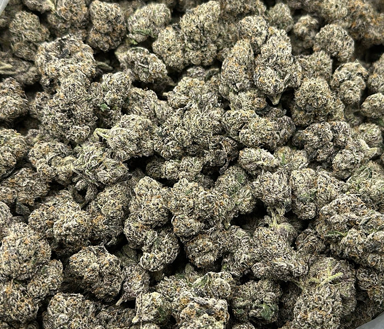 white cherry gelato hybrid high end exotic