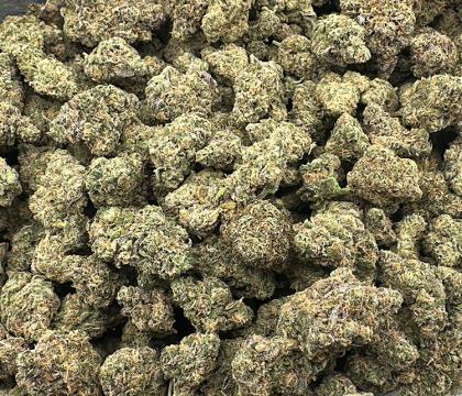 Blue Dream Sativa