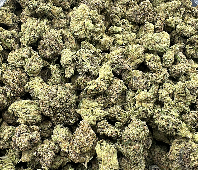 Gush Runtz indoor strain (Gush Mints x Runtz)