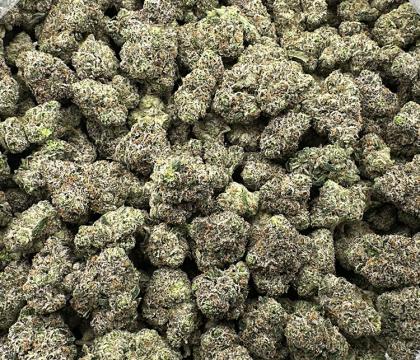 Blueberry Airhead | Very High End Indica