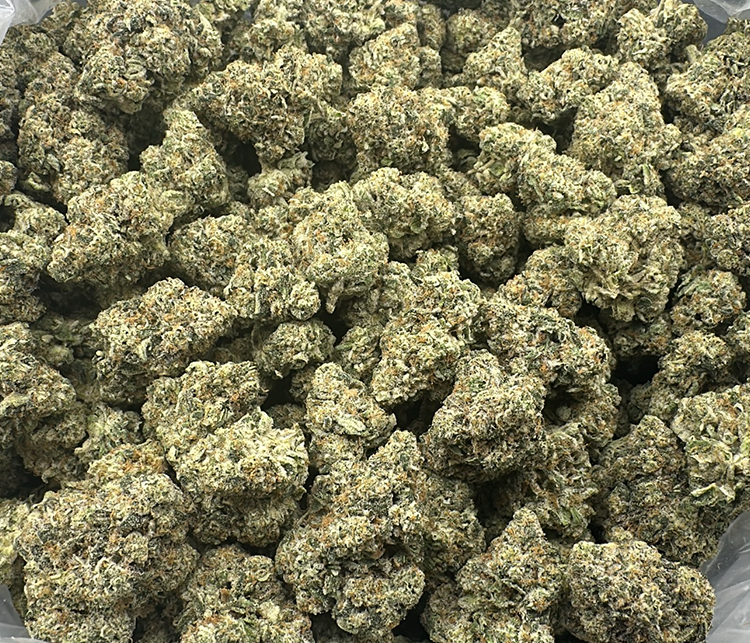 Red Hotz Smalls Exotic Slightly Sativa Dominant