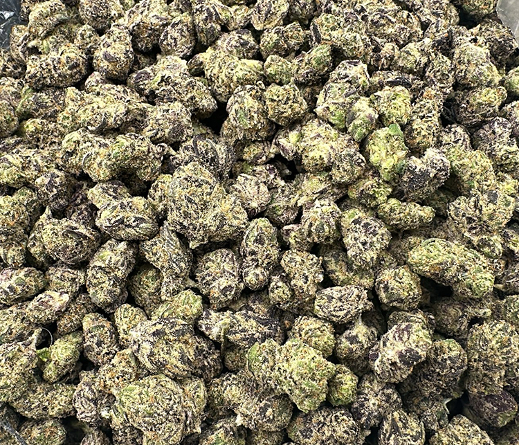 Nuclear Slurpee (Warheadz x Kut Throat Kandy) exotic Hybrid