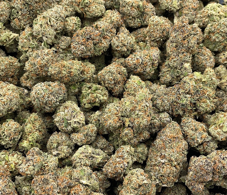 platinum cookies topshelf hybrid
