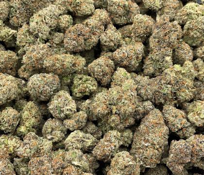 exotic runtz topshelf hybrid 