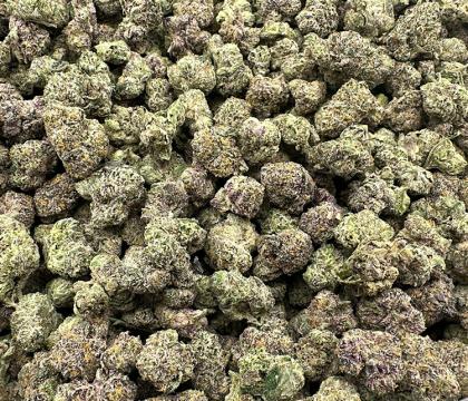 Fidel Runtz High End Exotic Hybrid