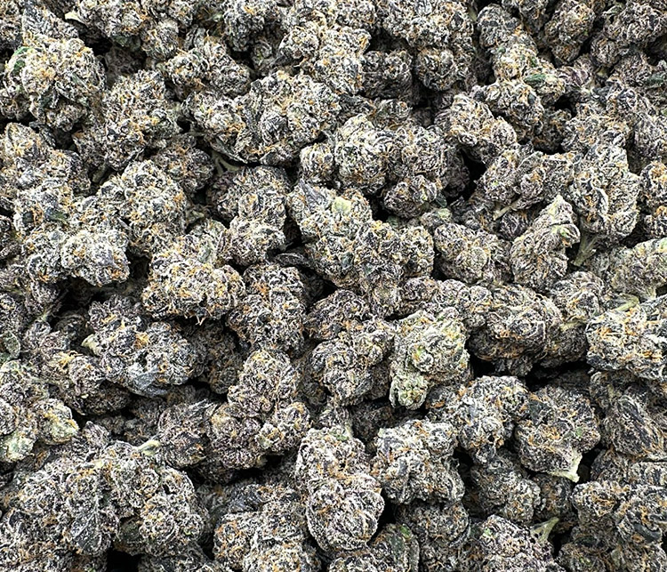 Pistachio Gelato High End Exotic Hybrid