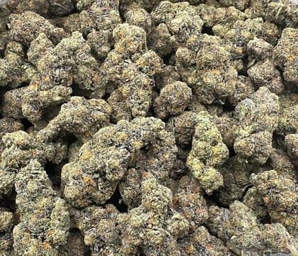 gelato 33 topshelf hybrid