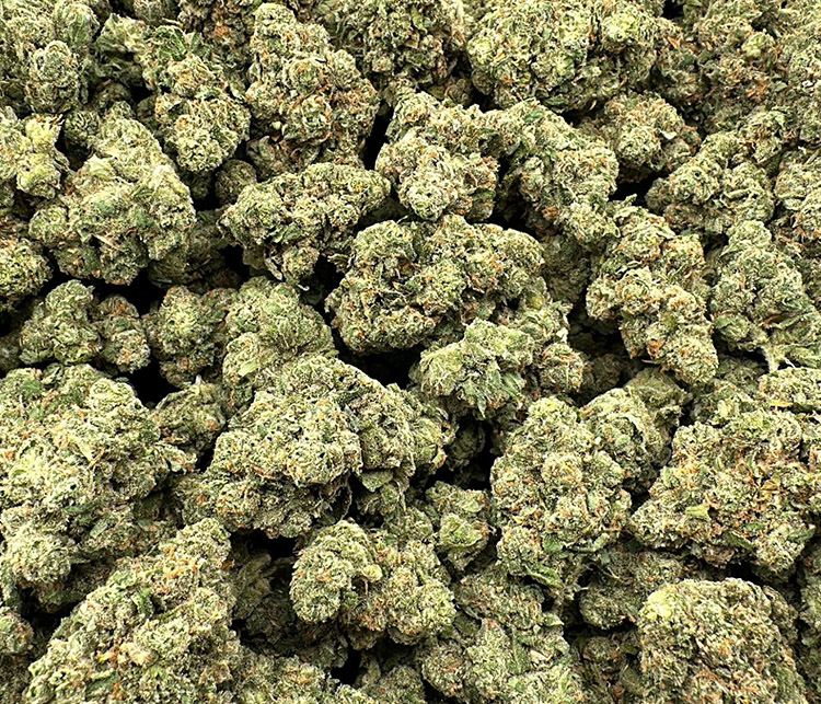 Topshelf Sativa shake