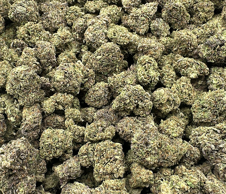 Lemon Cherry Gelato High Quality Hybrid Light Dep