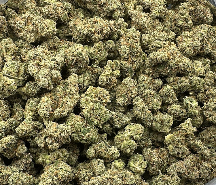 platinum cookies topshelf hybrid