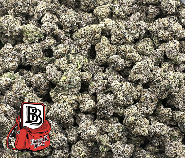 Pistachio Gelato High End Exotic Hybrid