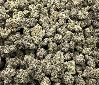 lemon cherry gushers topshelf indica leaning hybrid 