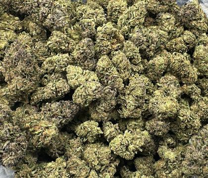 Lemon Cherry Gelato High Quality Hybrid Light Dep