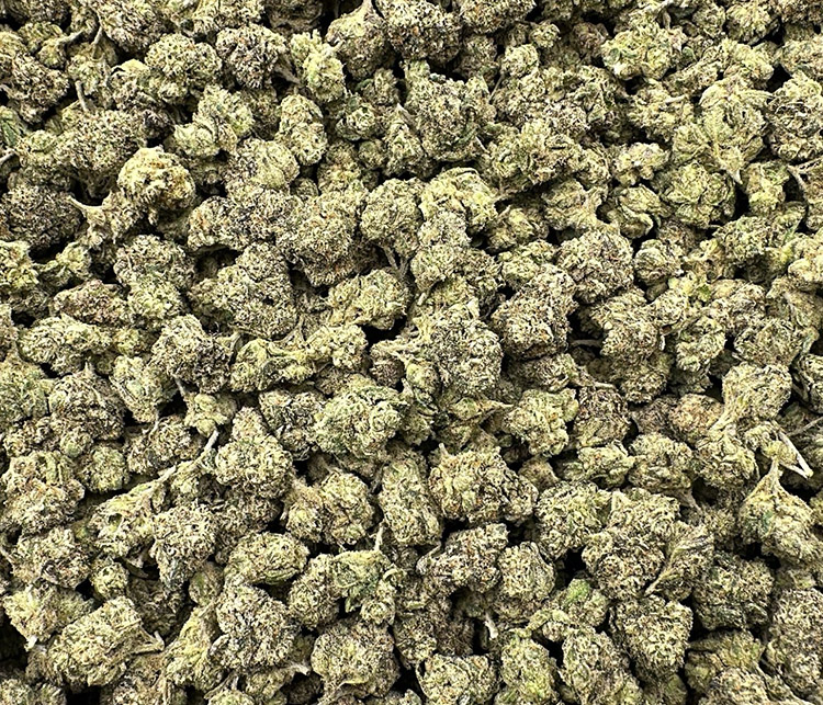 platinum cookies topshelf hybrid
