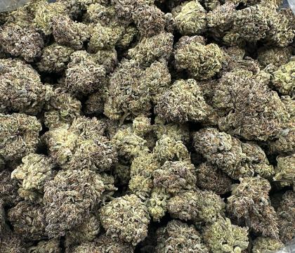 Miracle Alien Cookies | High End Hybrid Light Dep