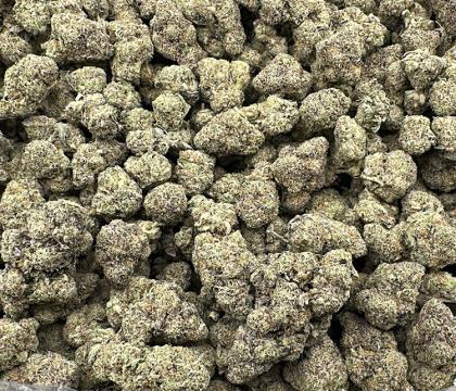 Nuclear Slurpee (Warheadz x Kut Throat Kandy) exotic Hybrid