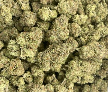 rs54 Rainbow Sherbert Hybrid Light Dep