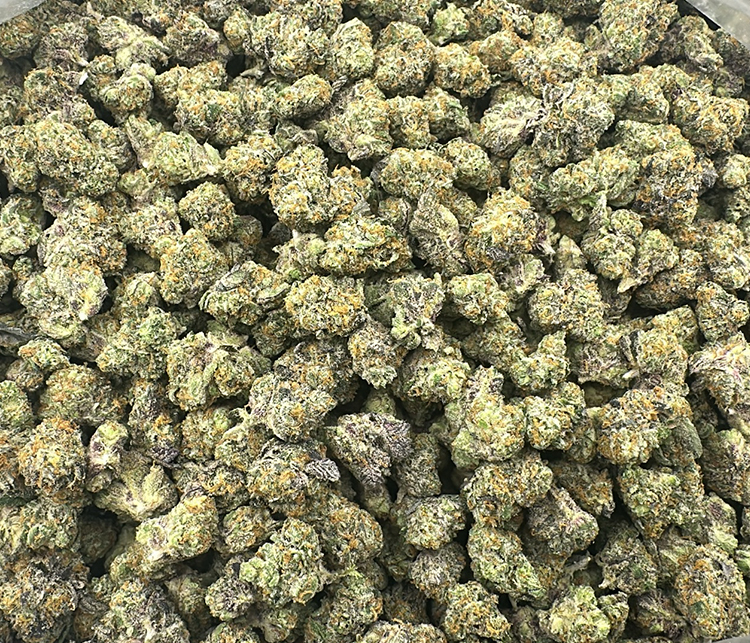 Shake Midgrade Hybrid