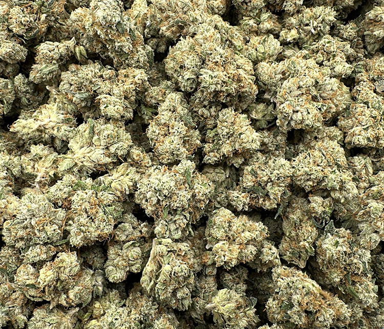 skywalker og topshelf