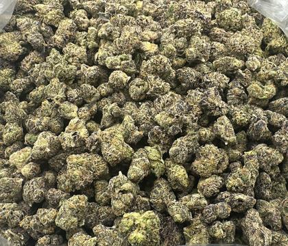 Versace (Sour Diesel X OG Kush X Granddaddy Purple) Sativa Leaning smalls