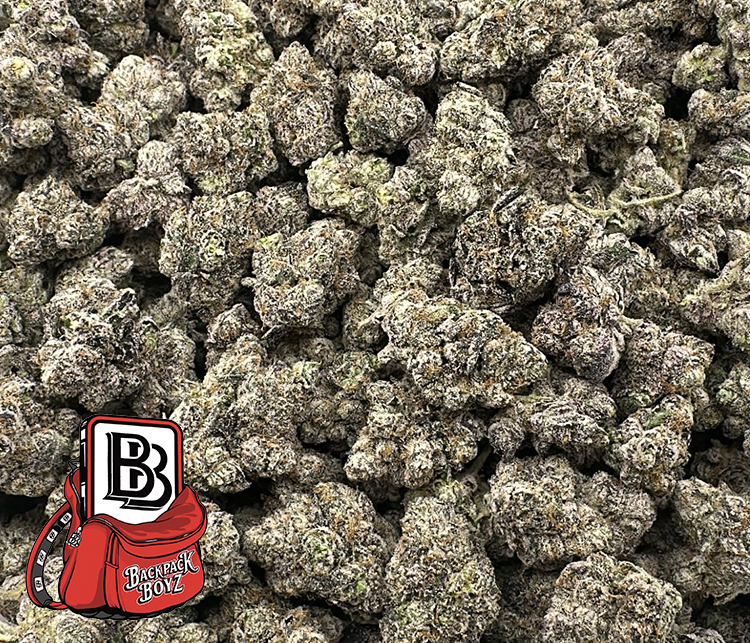 Pistachio Gelato High End Exotic Hybrid